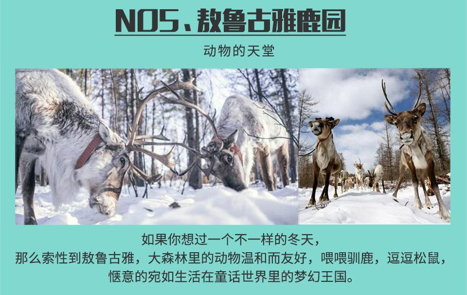 官网-漠河6日-960_07.jpg