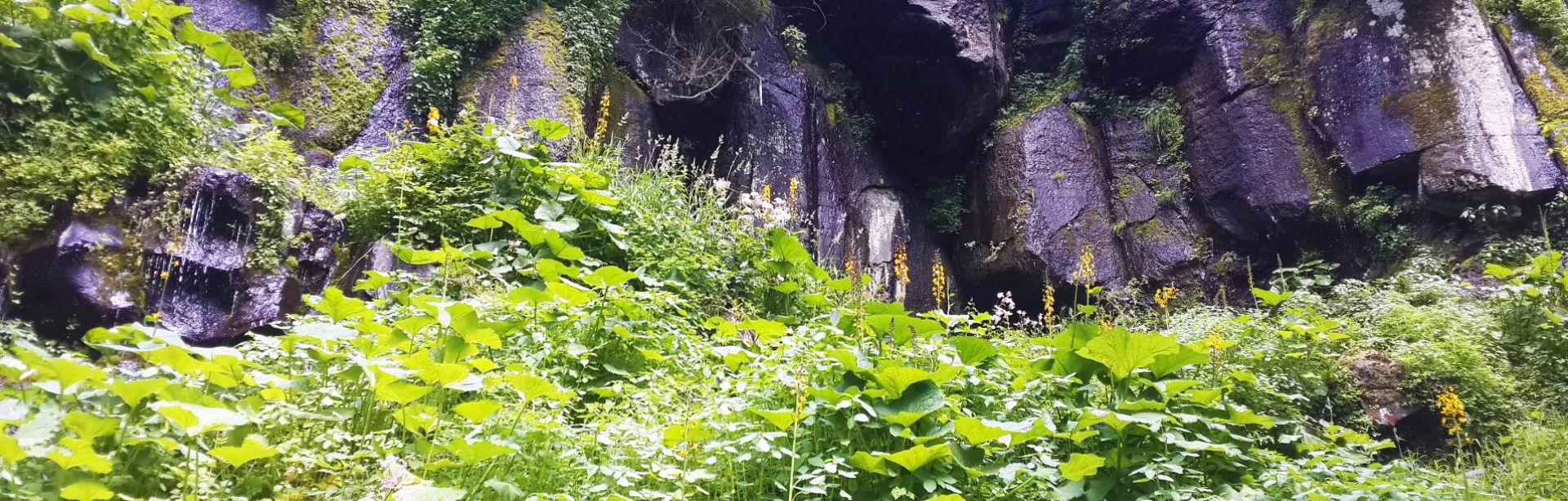 入目皆景--夏日游长白山记 20160828长白山 ...