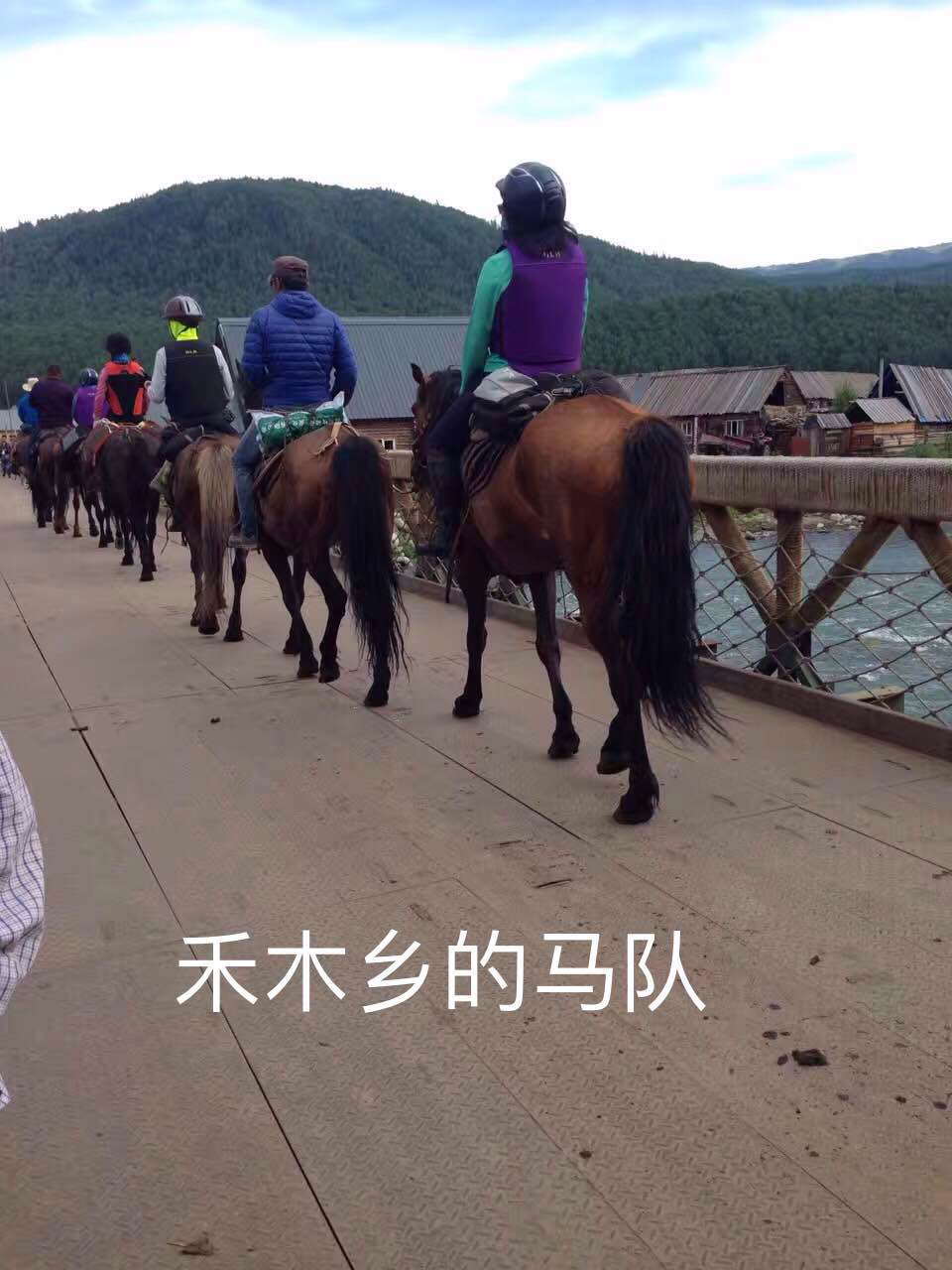 图片15.png
