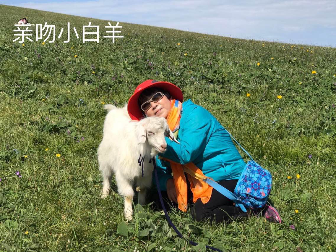 图片29.png