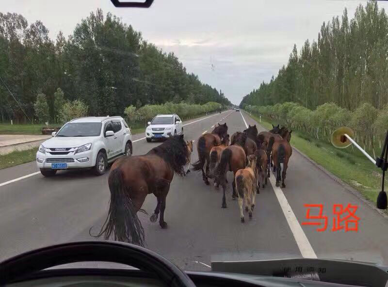 图片35.png