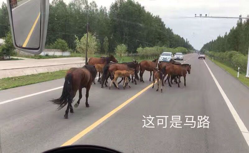 图片36.png