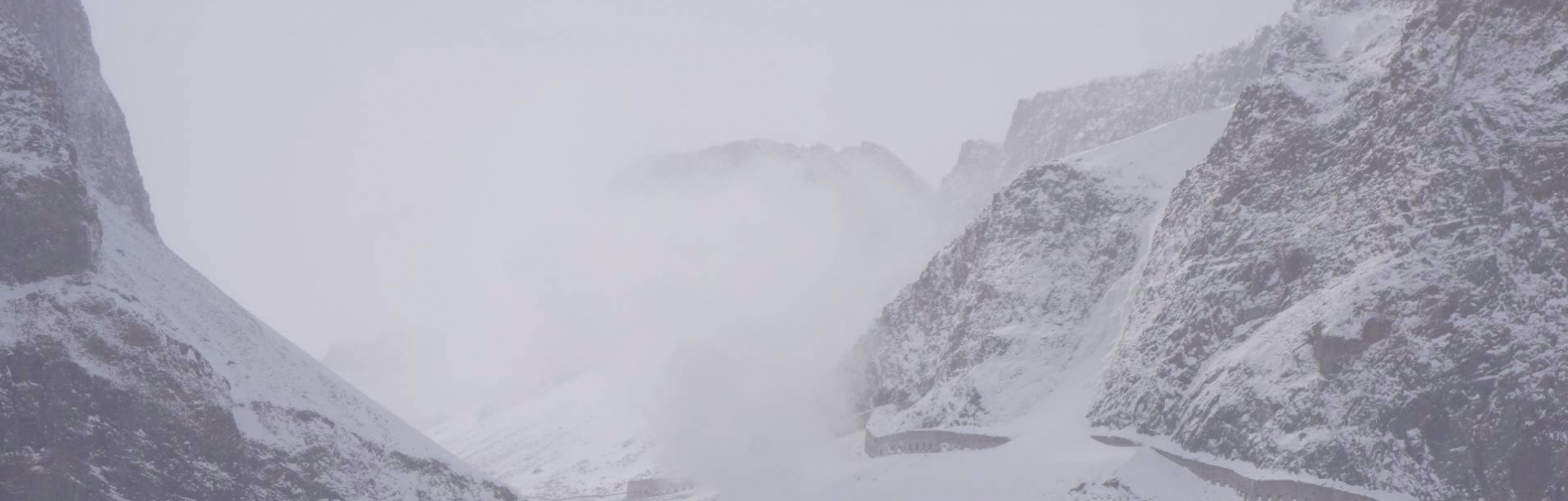 满身雪方不负少年情｜三只小猪玩雪记