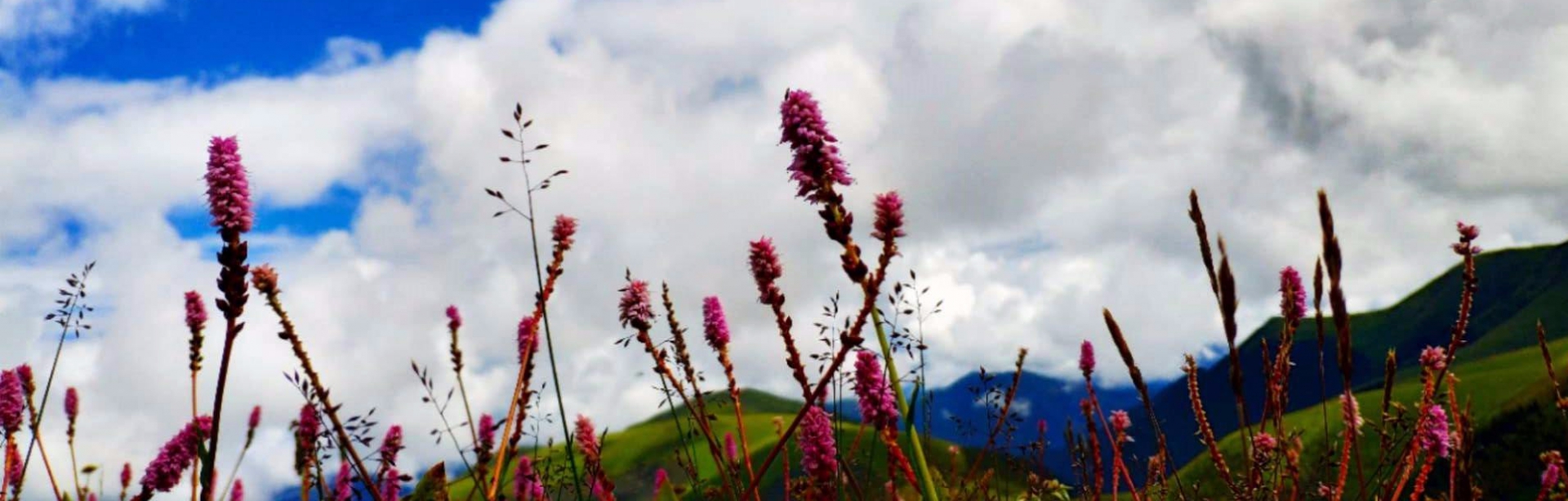 与你遇见最好的风景——记稻城•亚丁之旅